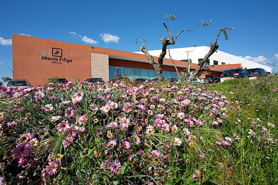 Monte Filipe Hotel Alpalhao  Exterior photo
